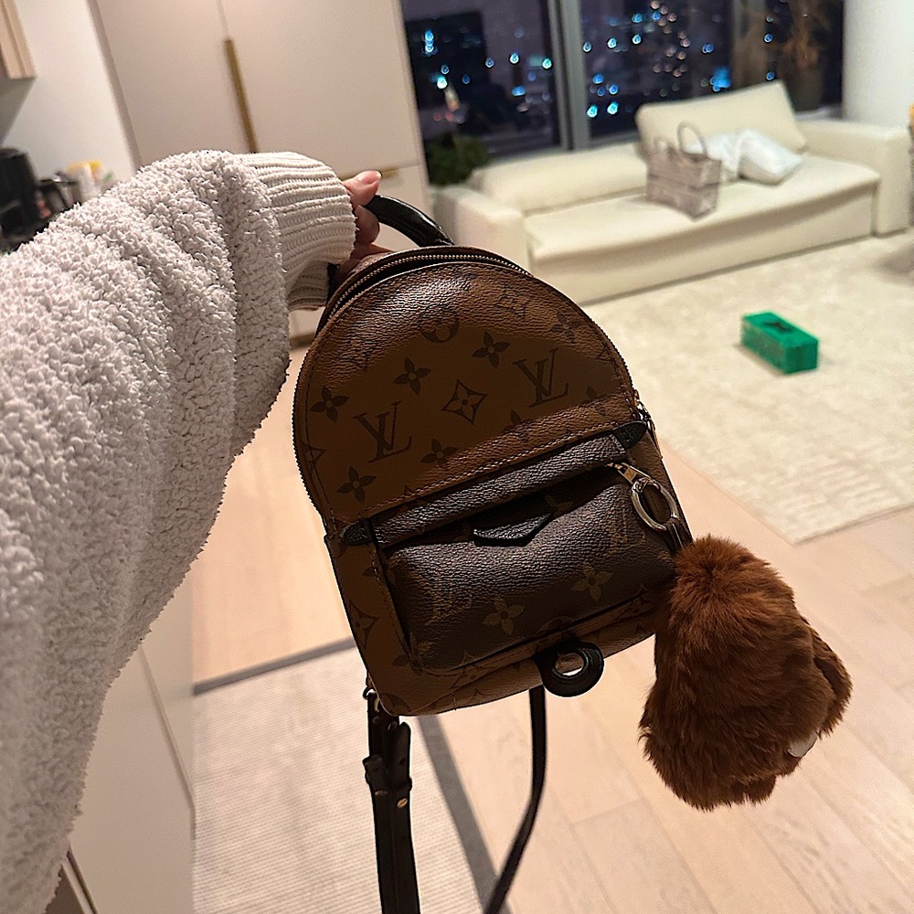 Louis Vuitton Palm Springs Backpack